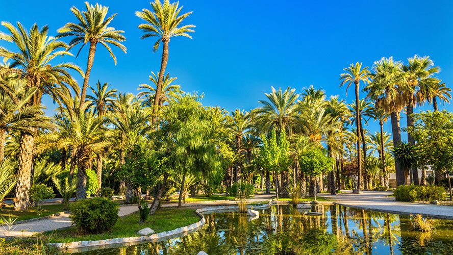 elche